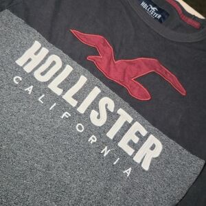 Hollister Gray and Red Logo T-Shirt
